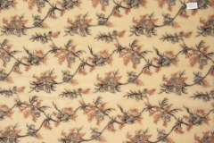 w19sawanna