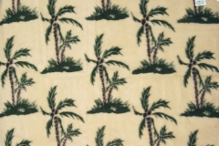 w25palmy